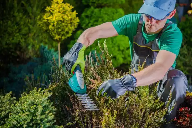 landscaping services Woodland Hills